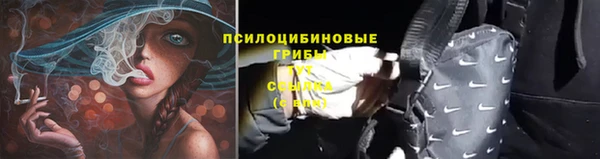 ГАЛЛЮЦИНОГЕННЫЕ ГРИБЫ Алзамай