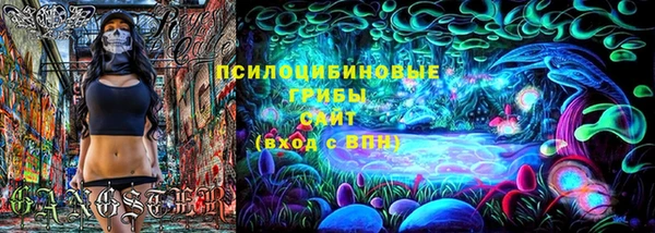 метадон Алексин